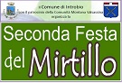 Seconda festa del mirtillo Introbio